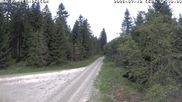 Archiviertes Webcam Bild: Kammloipe Flössweg am 12.07.2026 um 12:00 Uhr