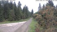 Archiviertes Webcam Bild: Kammloipe Flössweg am 18.08.2026 um 14:06 Uhr
