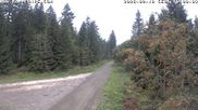 Archiviertes Webcam Bild: Kammloipe Flössweg am 18.08.2026 um 16:06 Uhr