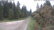 Archiviertes Webcam Bild: Kammloipe Flössweg am 18.08.2026 um 10:06 Uhr