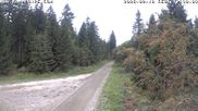 Archiviertes Webcam Bild: Kammloipe Flössweg am 18.08.2026 um 12:06 Uhr