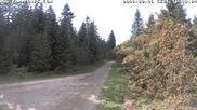 Archiviertes Webcam Bild: Kammloipe Flössweg am 26.08.2026 um 16:46 Uhr