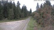 Archived webcam image showing Cross-country Ski trail Flössweg on 20 Sep 2026 at 14:24
