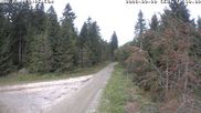 Archived webcam image showing Cross-country Ski trail Flössweg on 20 Sep 2026 at 10:24