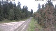 Archived webcam image showing Cross-country Ski trail Flössweg on 20 Sep 2026 at 12:24