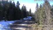 Archived webcam image showing Cross-country Ski trail Flössweg on 13 Mar 2026 at 14:15