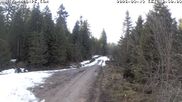 Archived webcam image showing Cross-country Ski trail Flössweg on 13 Mar 2026 at 16:15
