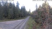 Archiviertes Webcam Bild: Kammloipe Flössweg am 10.10.2026 um 16:52 Uhr