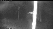 Archived webcam image showing View to the powder gulch express on 12 Oct 2026 at 04:04