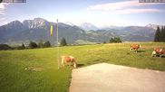 Archived webcam image showing Pub Zillreith on 7 Sep 2026 at 10:30