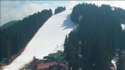 Archived webcam image showing Borovets Ski Resort Base II on 17 Mar 2026 at 12:52