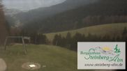 Archiviertes Webcam Bild: Berggasthaus Steinberg Alm am 13.04.2026 um 14:03 Uhr