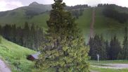Archived webcam image showing Panoramic View Thollon les Memises on 19 Jun 2026 at 16:10