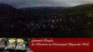 Archived webcam image showing Ringelai, Bavarian Forest on 30 Jun 2026 at 04:24