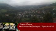 Archived webcam image showing Ringelai, Bavarian Forest on 19 Aug 2026 at 07:26