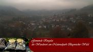 Archived webcam image showing Ringelai, Bavarian Forest on 28 Oct 2026 at 16:31