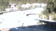 Archiviertes Webcam Bild: Königssee: Bob- und Rodelbahn am 12.07.2026 um 18:34 Uhr