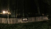 Archived webcam image showing Le Haut - Tour de Glace on 7 Jun 2026 at 02:50