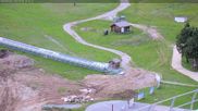 Archived webcam image showing Sector Aurouze & Sommarel on 5 Jun 2026 at 16:17