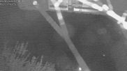Archived webcam image showing La Capelle d´Abondance: Mountain view on 5 Jun 2026 at 02:25