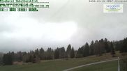 Archiviertes Webcam Bild: Kornau Nebelhorn am 12.04.2026 um 12:49 Uhr