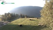 Archiviertes Webcam Bild: Bergstation Molveno-Pradel am 28.05.2026 um 06:47 Uhr