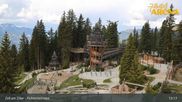 Archived webcam image showing Spruce Tree Castle Rosenalm on 9 May 2026 at 13:12