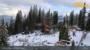 Archived webcam image showing Spruce Tree Castle Rosenalm on 17 May 2026 at 07:18