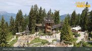 Archived webcam image showing Spruce Tree Castle Rosenalm on 30 May 2026 at 11:01