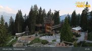 Archived webcam image showing Spruce Tree Castle Rosenalm on 24 Jun 2026 at 07:34