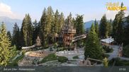 Archived webcam image showing Spruce Tree Castle Rosenalm on 24 Jun 2026 at 08:34