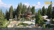 Archived webcam image showing Spruce Tree Castle Rosenalm on 24 Jun 2026 at 09:34
