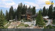 Archived webcam image showing Spruce Tree Castle Rosenalm on 24 Jun 2026 at 11:34