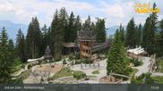 Archived webcam image showing Spruce Tree Castle Rosenalm on 24 Jun 2026 at 13:23