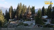Archived webcam image showing Spruce Tree Castle Rosenalm on 29 Jul 2026 at 08:18