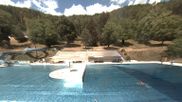 Archived webcam image showing Webcam Public Pool in Blaubeuren on 21 Jul 2026 at 14:52