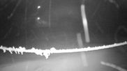 Archived webcam image showing Mount Olympus - Slope Main Face on 6 Jul 2026 at 14:39