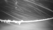 Archived webcam image showing Mount Olympus - Slope Main Face on 6 Jul 2026 at 16:39