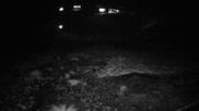 Archiviertes Webcam Bild: Mount Olympus - Piste Main Face am 11.10.2026 um 16:41 Uhr