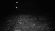 Archiviertes Webcam Bild: Mount Olympus - Piste Main Face am 12.10.2026 um 10:41 Uhr