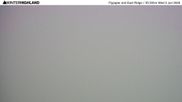 Archived webcam image showing Glencoe Mountain Ski Resort - Flypaper and East Ridge on 3 Jun 2026 at 06:19