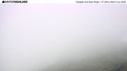 Archived webcam image showing Glencoe Mountain Ski Resort - Flypaper and East Ridge on 3 Jun 2026 at 08:19