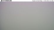 Archived webcam image showing Glencoe Mountain Ski Resort - Flypaper and East Ridge on 3 Jun 2026 at 12:19