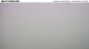 Archived webcam image showing Glencoe Mountain Ski Resort - Flypaper and East Ridge on 3 Jun 2026 at 14:19