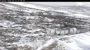 Archiviertes Webcam Bild: Skigebiet Cairngorm Mountain - Zig Zags Piste am 12.04.2026 um 18:03 Uhr