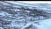 Archiviertes Webcam Bild: Skigebiet Cairngorm Mountain - Zig Zags Piste am 12.04.2026 um 20:10 Uhr