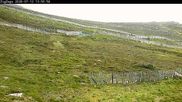 Archived webcam image showing Cairngorm Mountain Ski Resort - Zig Zags Slope on 12 Jul 2026 at 14:08