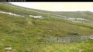 Archived webcam image showing Cairngorm Mountain Ski Resort - Zig Zags Slope on 12 Jul 2026 at 18:08