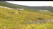 Archiviertes Webcam Bild: Skigebiet Cairngorm Mountain - Zig Zags Piste am 12.07.2026 um 20:48 Uhr