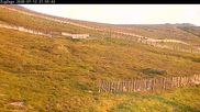 Archiviertes Webcam Bild: Skigebiet Cairngorm Mountain - Zig Zags Piste am 12.07.2026 um 22:14 Uhr